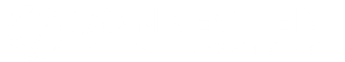 The Connected Economy
